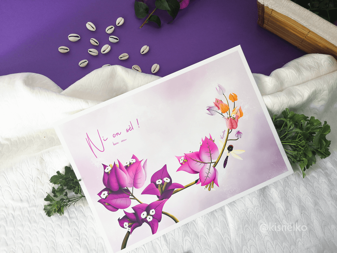 Bougainvillier / Ni onsèl kon vou - Kisnelko