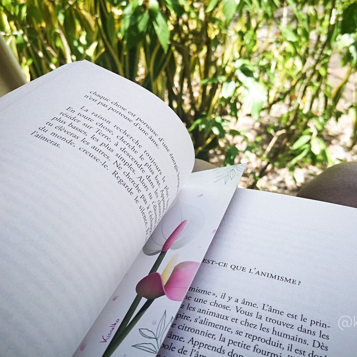 Lot de 4 Marque - pages - Kisnelko