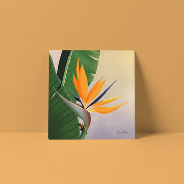 Carte Oiseau du paradis