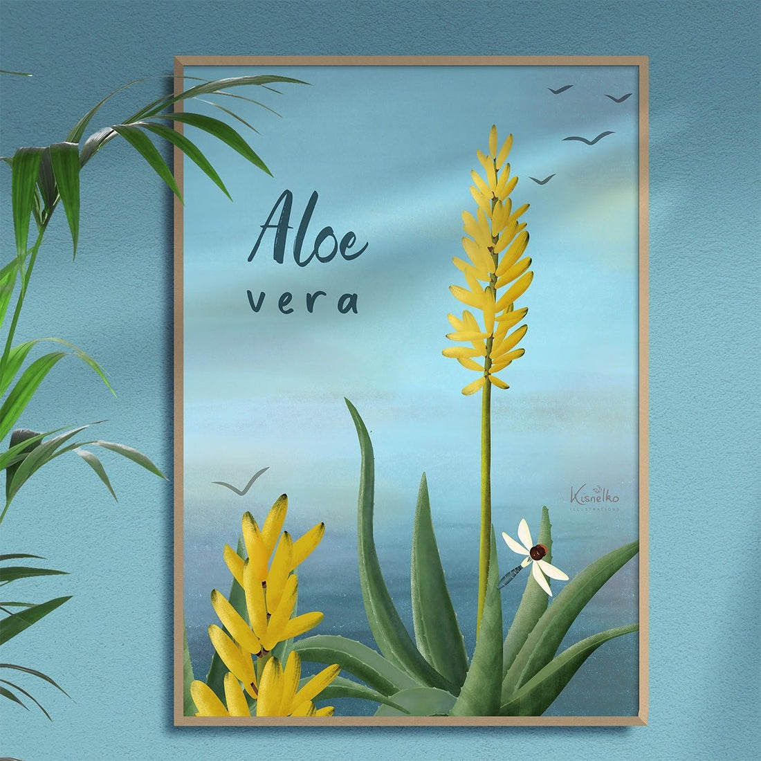 Aloe / Pran pasyans - Kisnelko