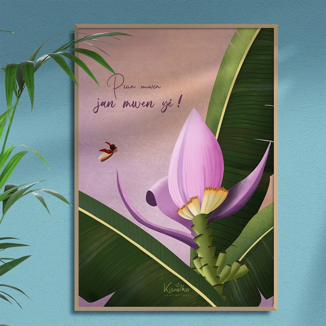 Bananier ornemental / Jan mwen yé - Kisnelko