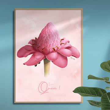 Rose de porcelaine / Queen