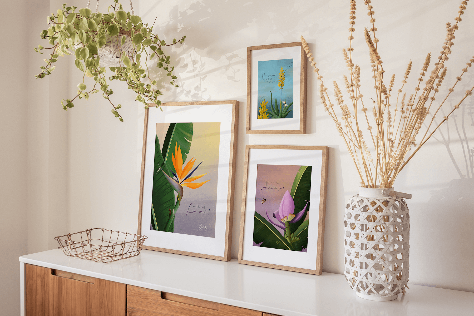 Bananier ornemental / Jan mwen yé - Kisnelko