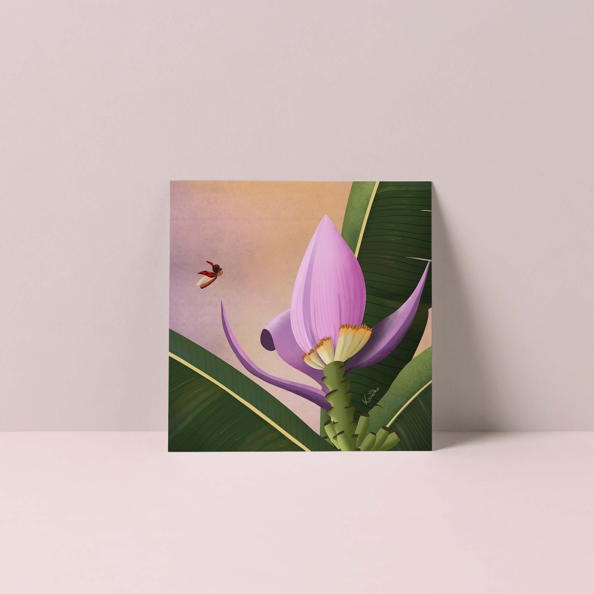 Carte Bananier ornemental