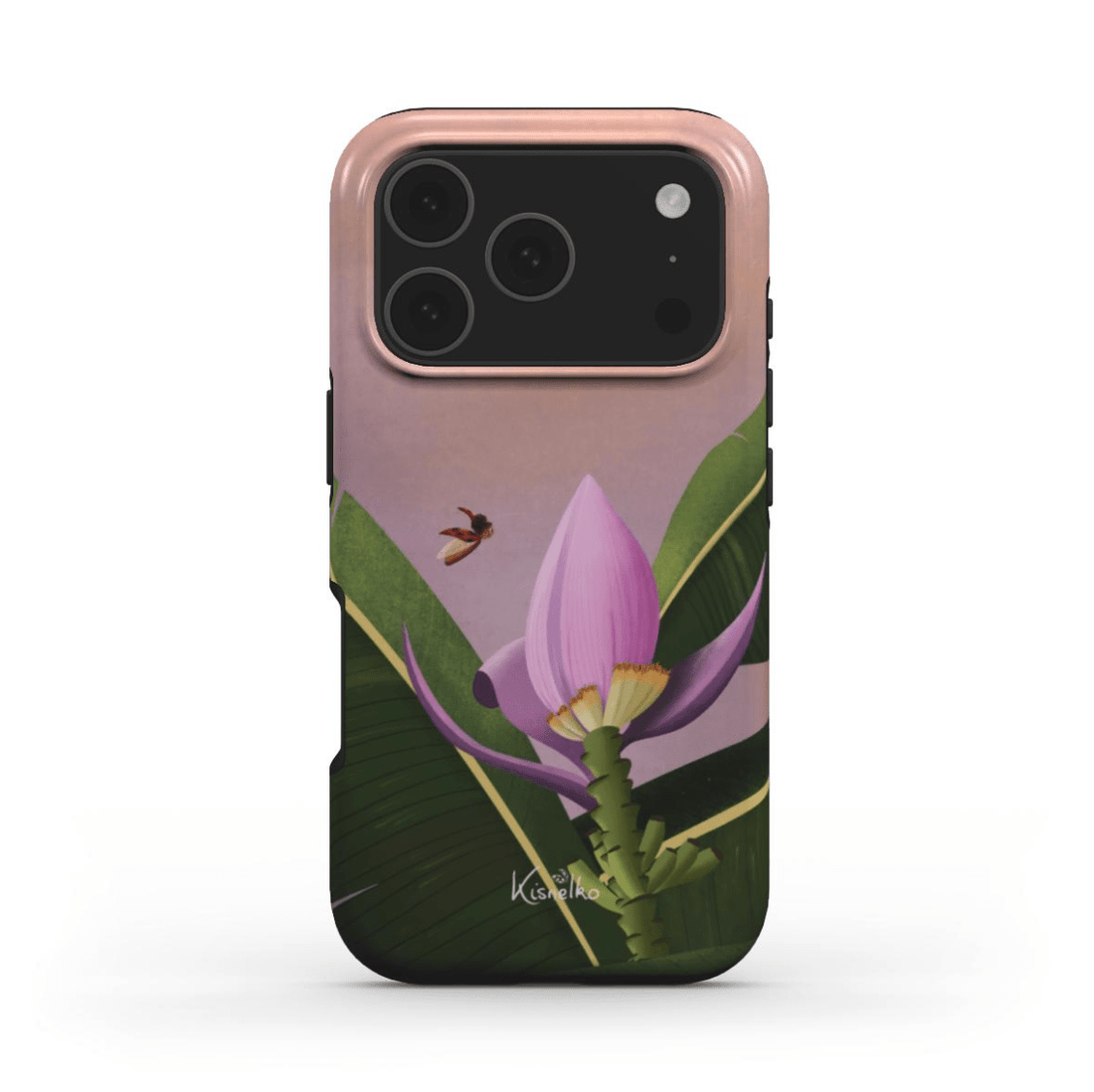 Coque Bananier ornemental - Kisnelko