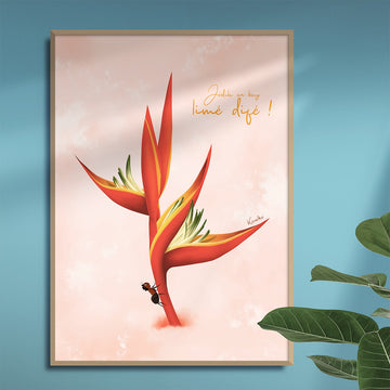 Heliconia / Limé difé